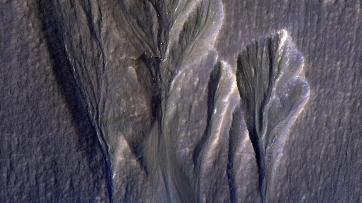 NASA