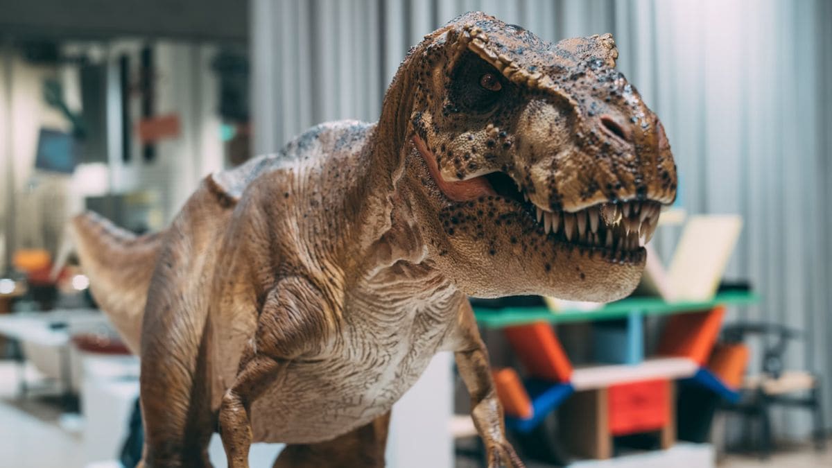 Giant Horned Dinosaur Fossils Rediscovered in Egypt, WWII Lost Treasures