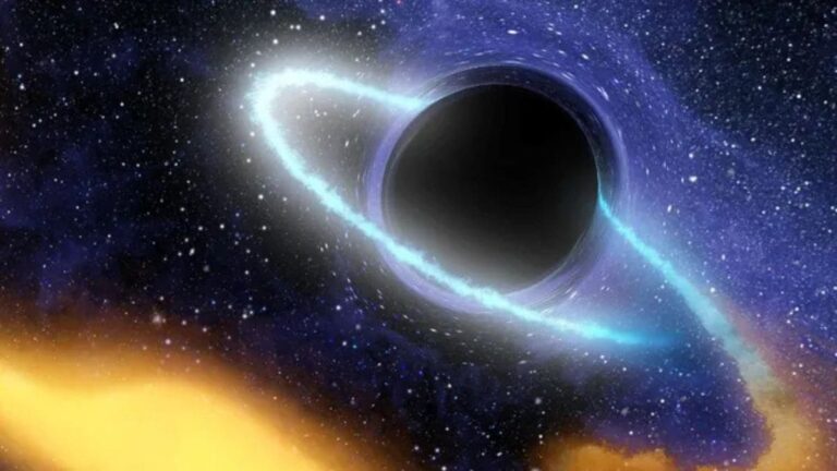 Invisible Boson Stars Could Hold the Key to Dark Matter