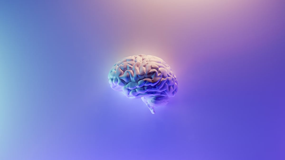 Could We Ever Retrieve Memories from a Dead Person