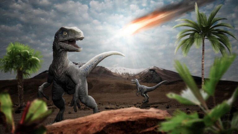 Dinosaurs Weren’t Doomed Before the Asteroid Hit, New Research Suggests