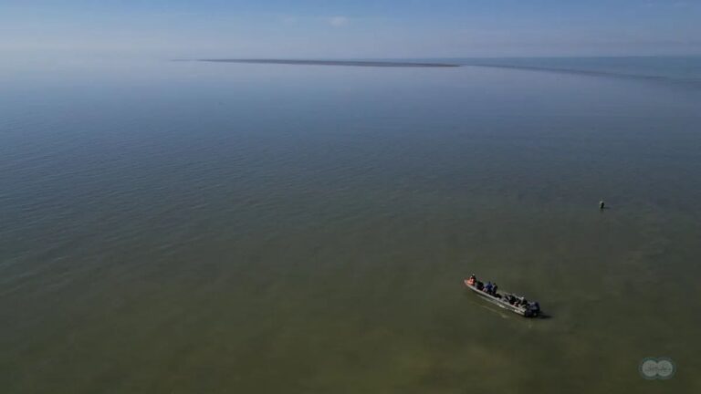 New Island Forms in Caspian Sea as Water Levels Drop, Russian Scientists Confirm