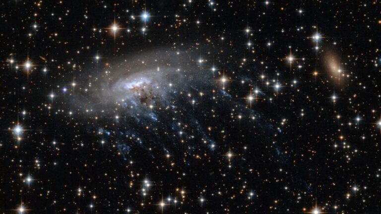 Webb Telescope Spots Possible Jellyfish Galaxy 12 Billion Light-Years Away