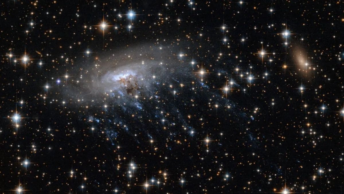 Webb Telescope Spots Possible Jellyfish Galaxy 12 Billion Light-Years Away