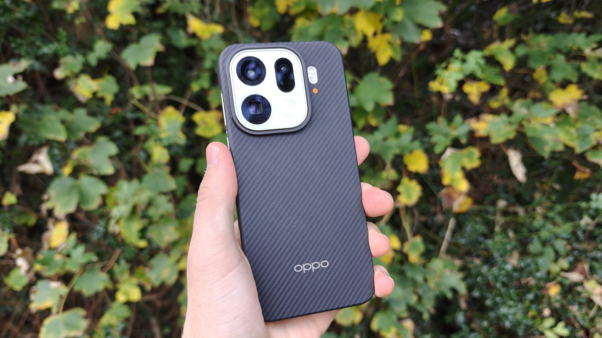 All the gear and no idea – my new phone camera is wasted on me, but Google might have already found a solution