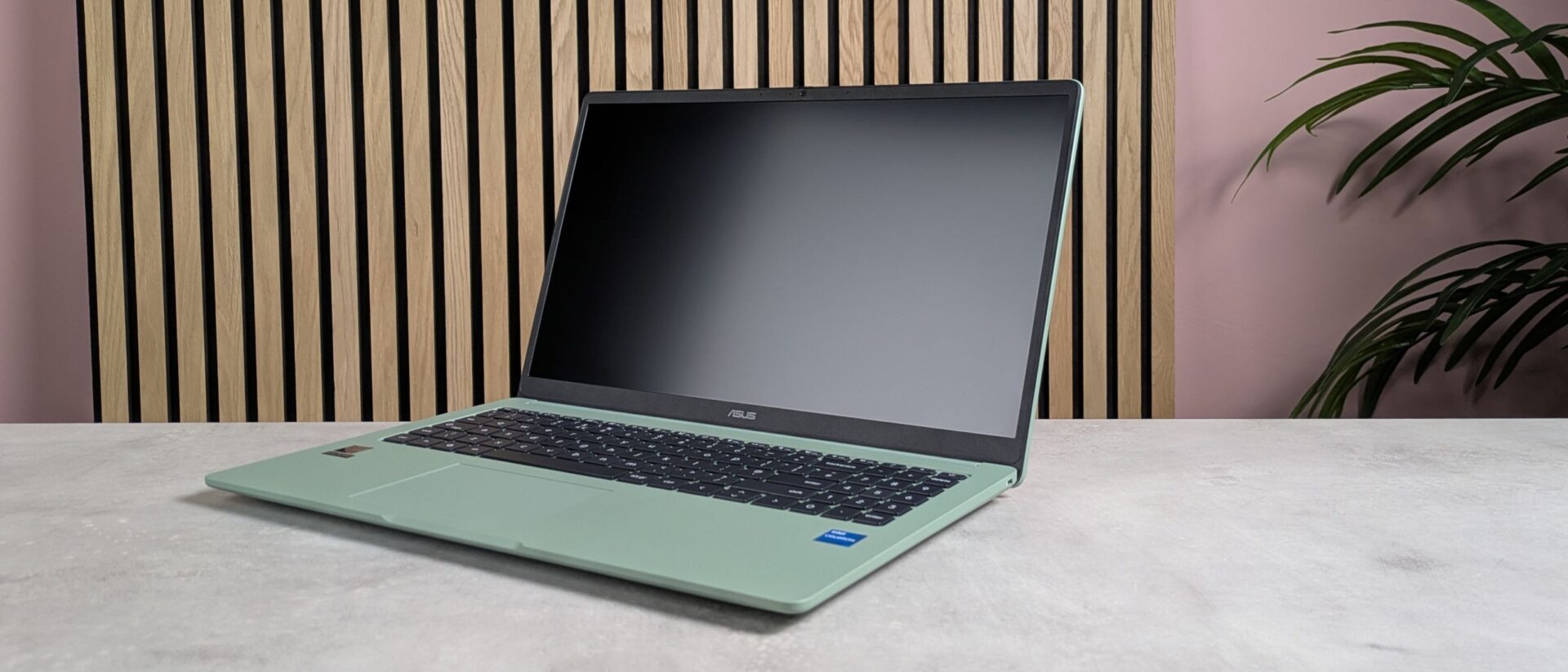 ASUS Chromebook CX15 review: a better performer than its seriously budget price tag might lead you to believe