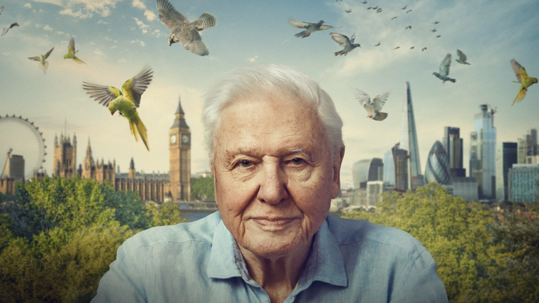 How to watch Wild London on BBC iPlayer (it's FREE)