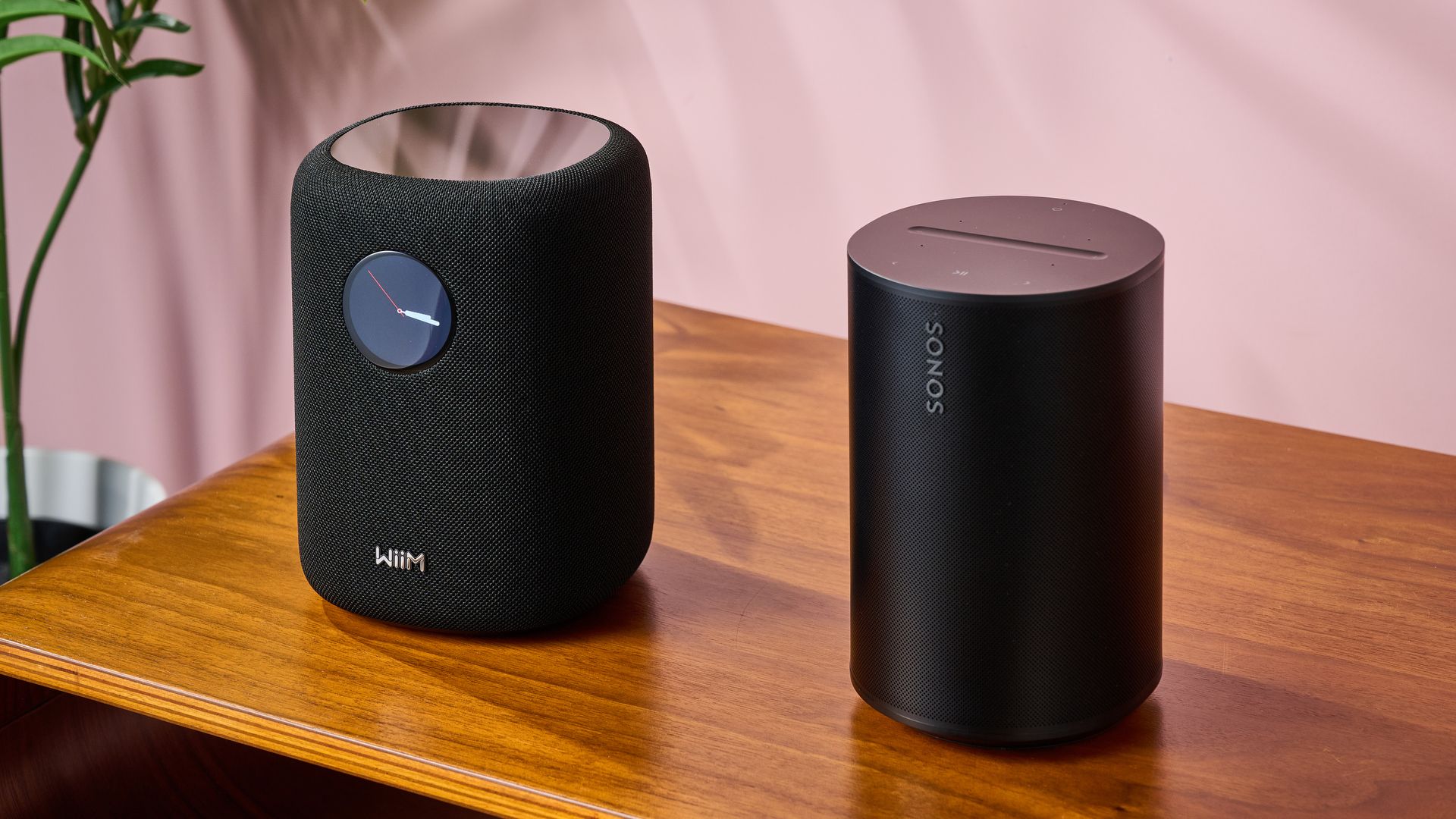The Wiim Sound side-by-side with the Sonos Era 100 on a polished wood table, in front of a plant and a pink background.