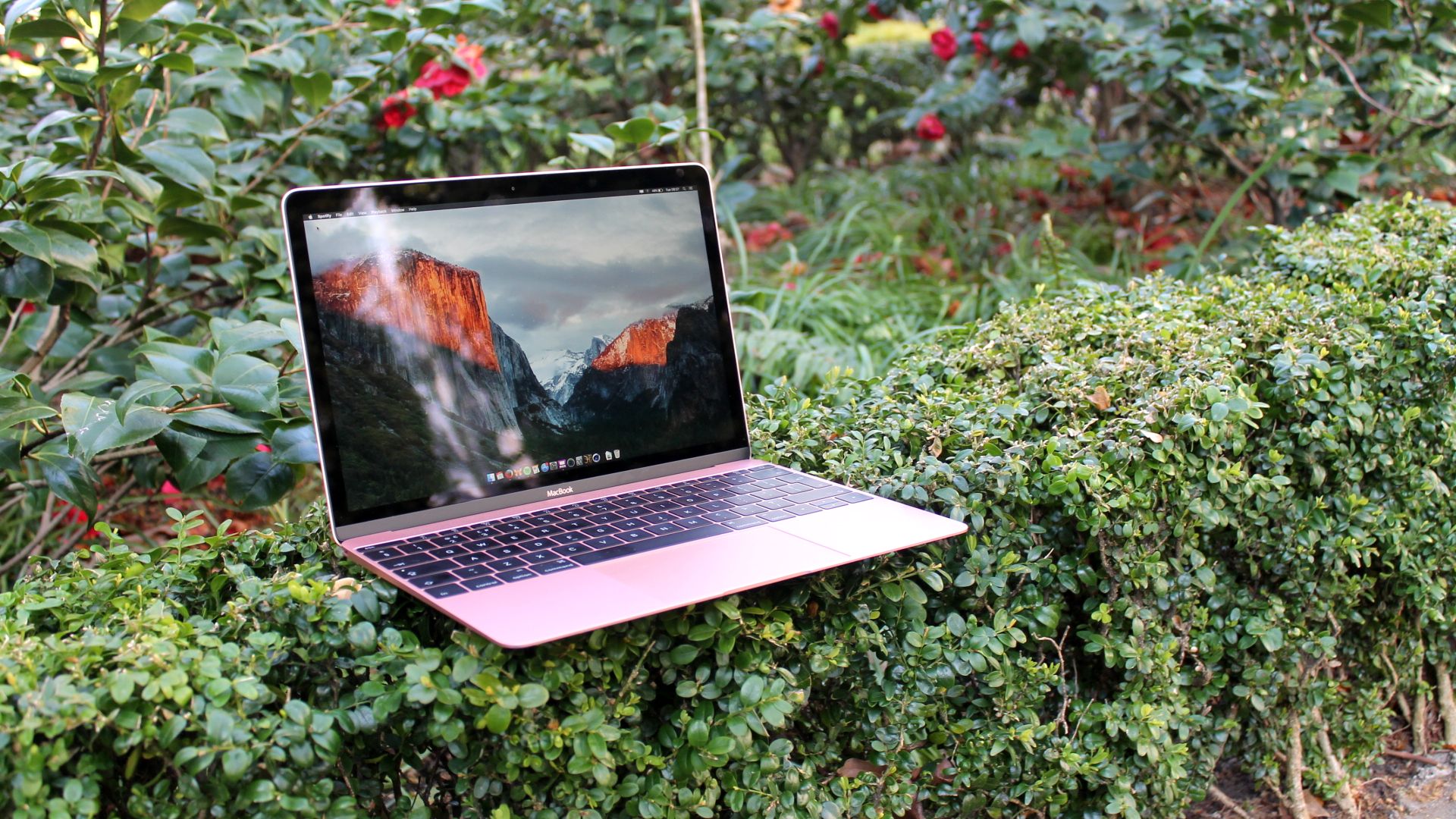 Apple's past 12-inch MacBook on a hedge