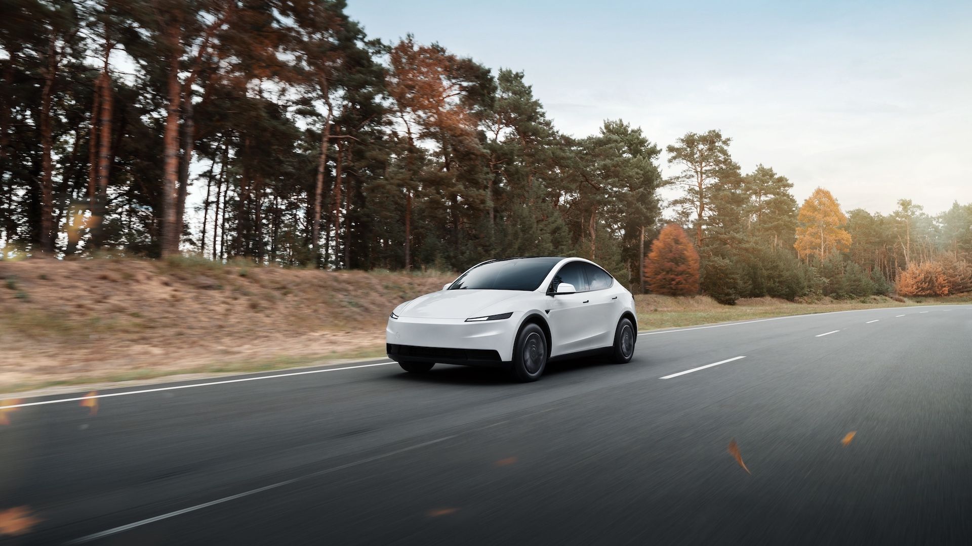 Tesla Model Y Standard