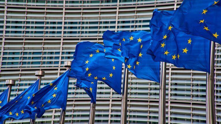 EU flags