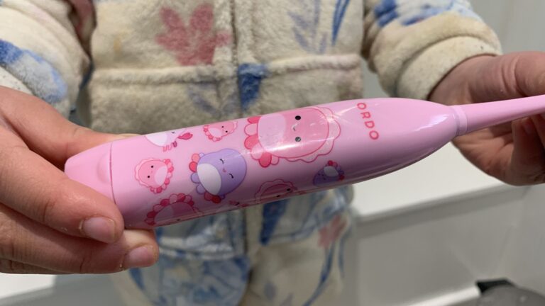 According to my six-year-old, the Ordo Squishmallows Sonic Kids Battery Toothbrush is a big success — and it's more eco- and wallet-friendly than many other kids' brushes out there