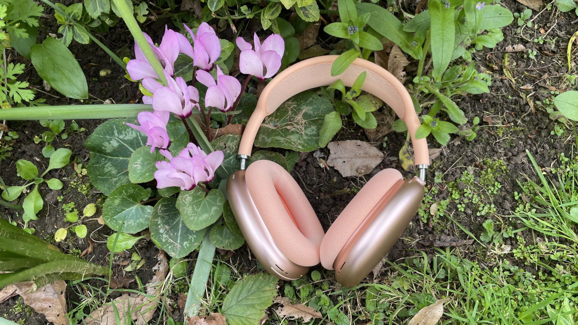 AirPods Max 2 review: good grief they're excellent ANC headphones