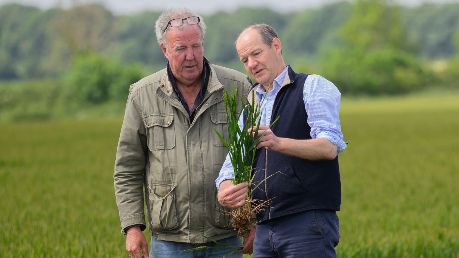 Jeremy and Charlie examine a crop