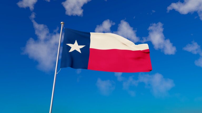 Zoning authority could be the answer to data center woes, as San Marcos becomes the first Texas city to ban data centers