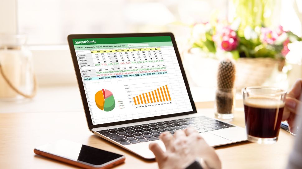 Microsoft Excel in use