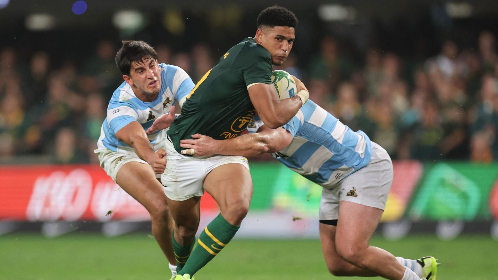 How to watch Argentina vs South Africa for FREE: live stream details