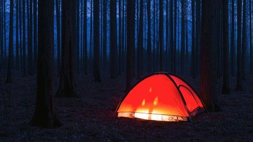 A tent lit-up from the inside, pitched in the woods 