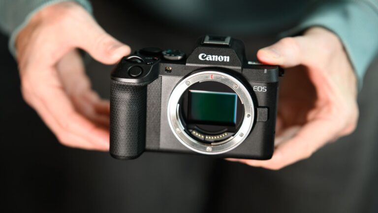 Canon EOS R8 Mark II review
