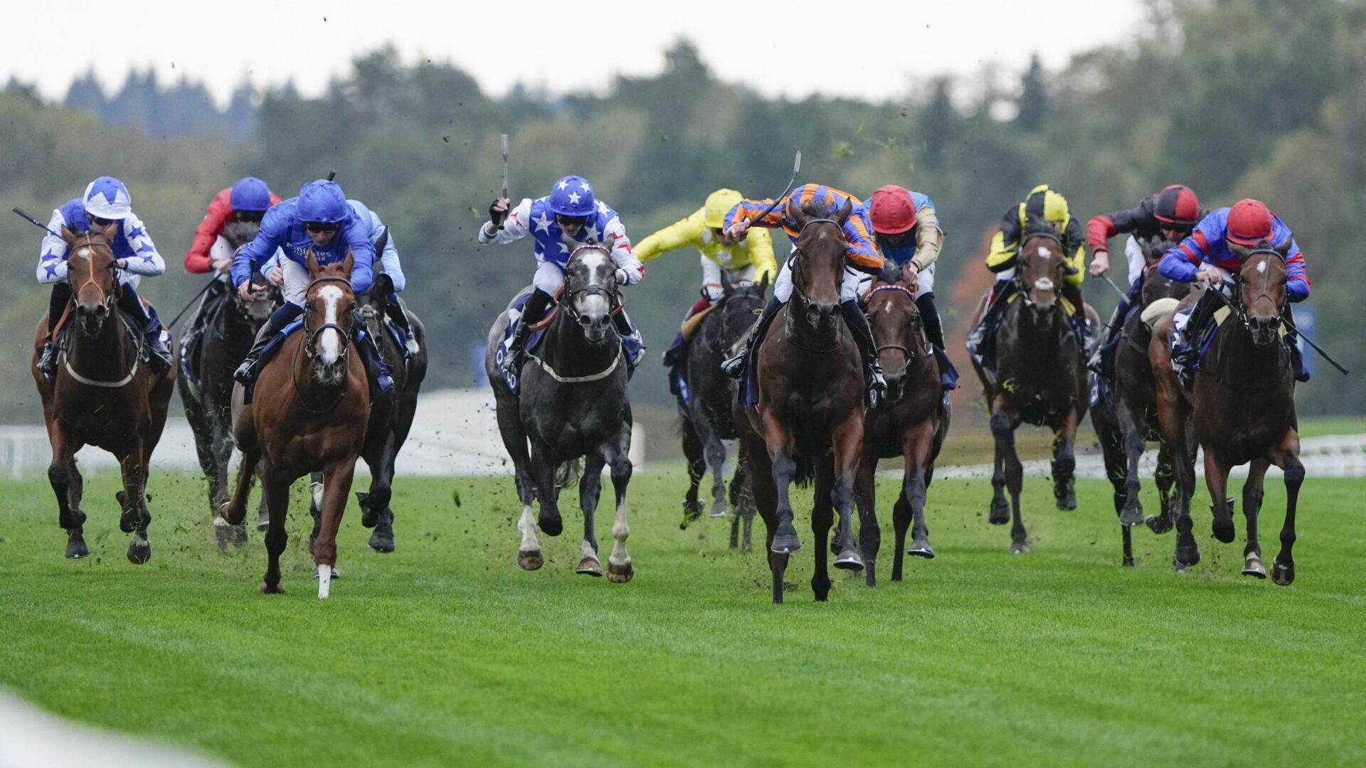 How to watch British Champions Day 2026 for *FREE* – live stream horse racing